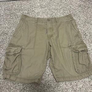 Goodfellow & Co Men's Tan Cargo Shorts
